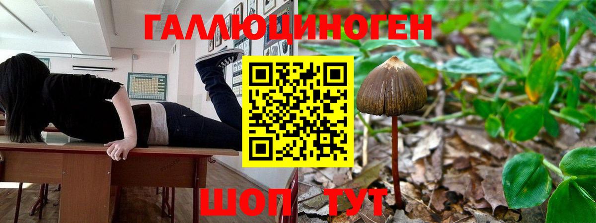 Галлюциногенные грибы Psilocybe  Вход с VPN  Нефтекамск 